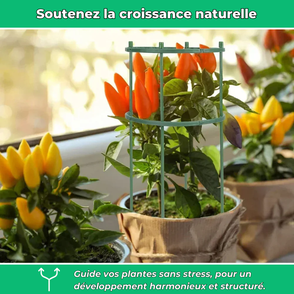 Anneaux de Support Flexibles pour Plantes – Support Ajustable pour Croissance des Plantes - Image 3