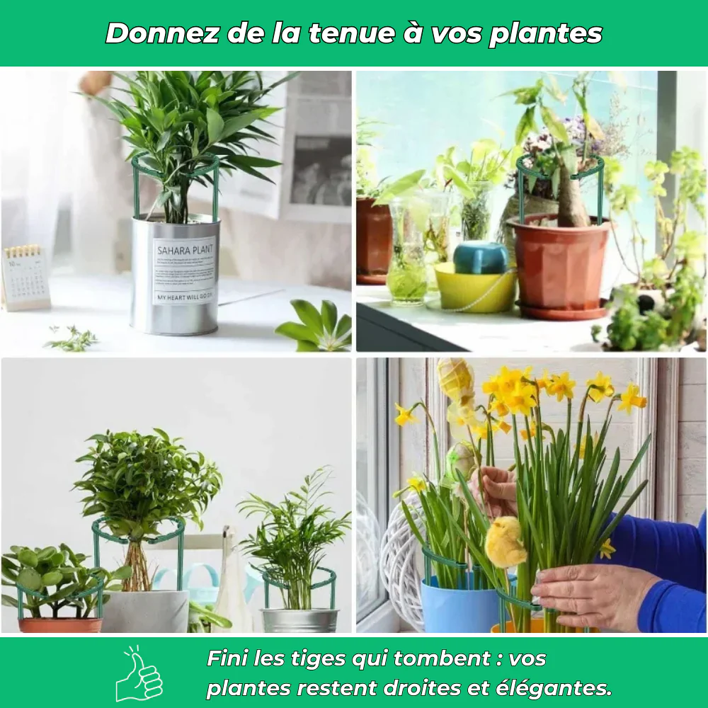 Anneaux de Support Flexibles pour Plantes – Support Ajustable pour Croissance des Plantes - Image 5