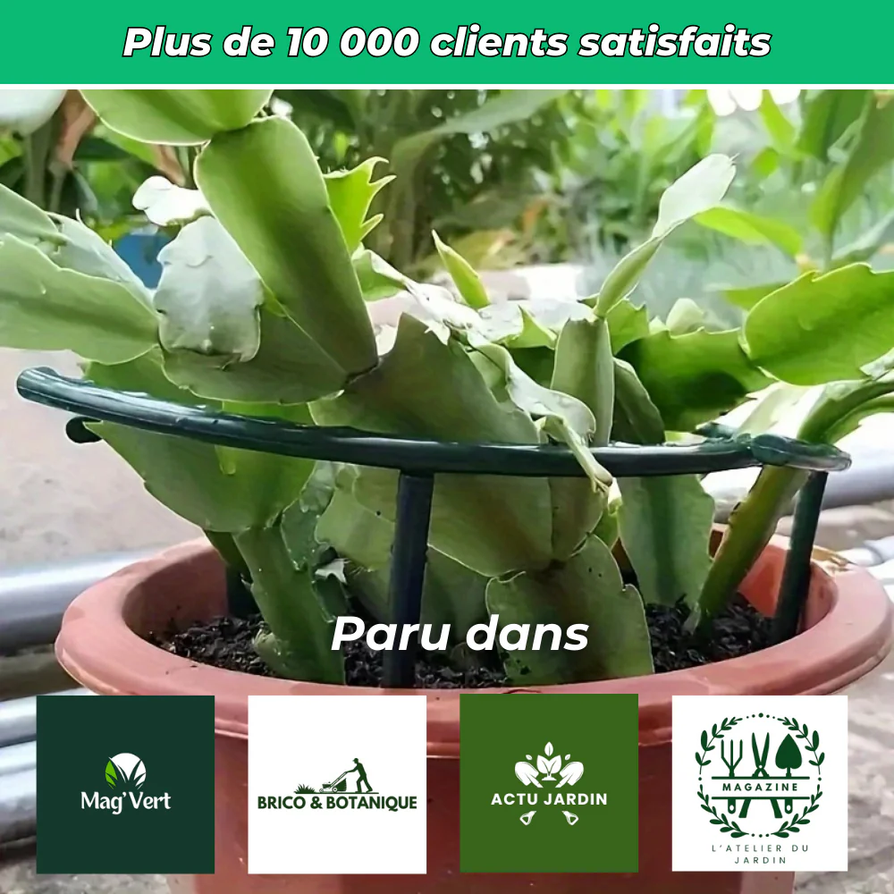 Anneaux de Support Flexibles pour Plantes – Support Ajustable pour Croissance des Plantes - Image 6
