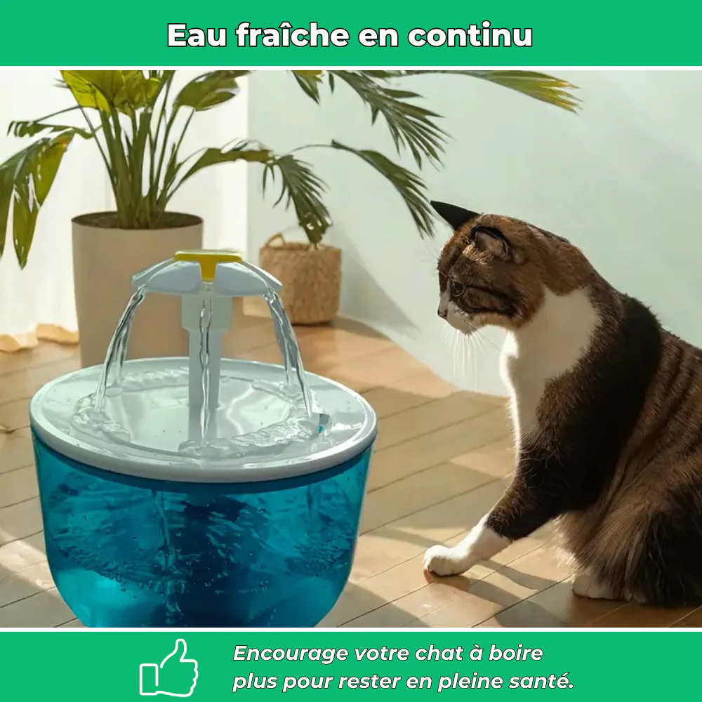 Fontaine à eau filtrante AquaChat pour chats – Hydratation saine et continue - Image 3