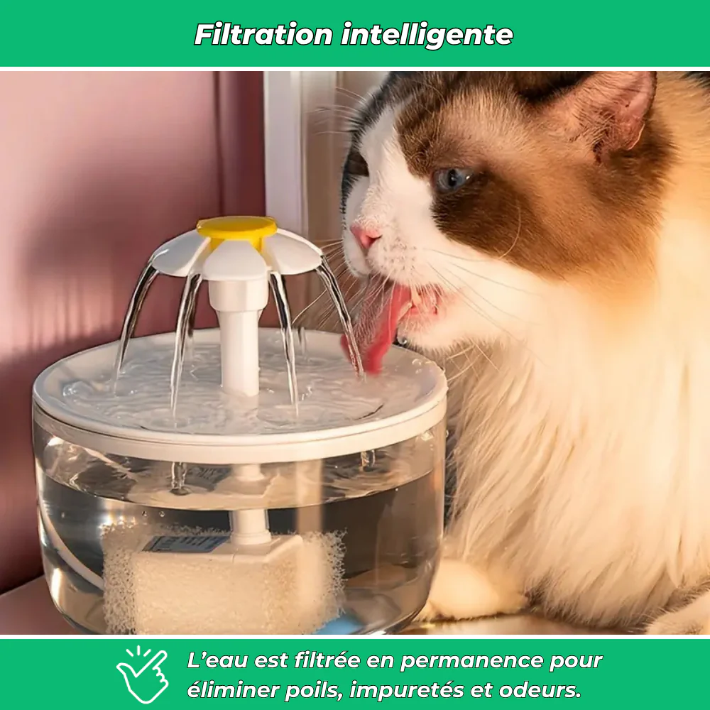 Fontaine à eau filtrante AquaChat pour chats – Hydratation saine et continue - Image 5