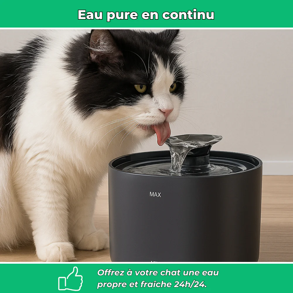 Fontaine à eau AquaPure 2,2L pour chat – Ultra-silencieuse et rechargeable USB - Image 3
