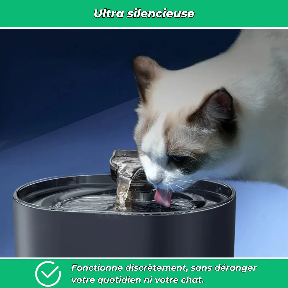 Fontaine à eau AquaPure 2,2L pour chat – Ultra-silencieuse et rechargeable USB - Image 5