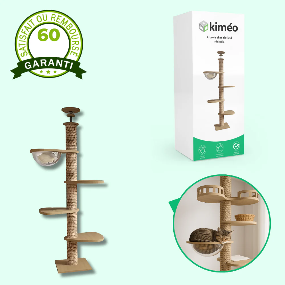 Arbre à chat plafond réglable avec hamac et griffoirs – Condo multi-niveaux pour chat - Image 2