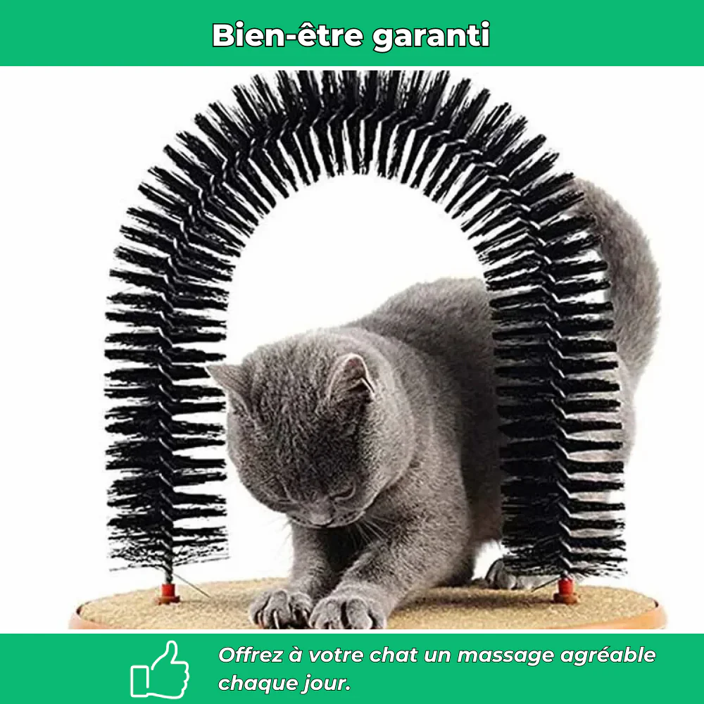Arche de massage et brossage pour chat – Élimine poils et réduit le stress - Image 3