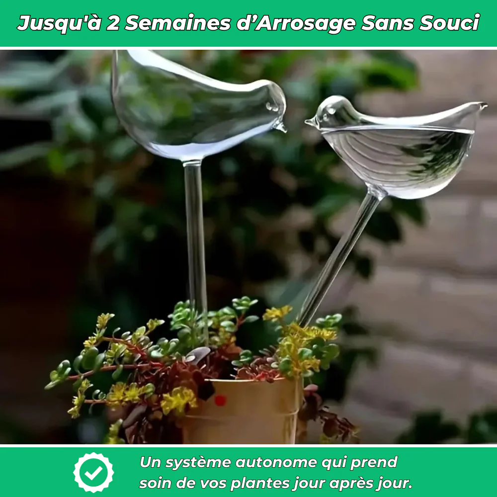 Arrosage Automatique en Forme d'Oiseau – Hydratation Continue pour Vos Plantes et Jardin - Image 5
