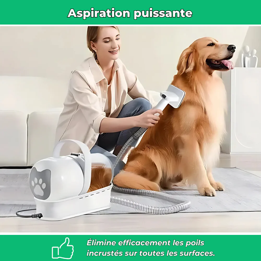 Aspirateur portable anti-poils – Élimine poils de chiens et chats sur tissus et meubles - Image 3