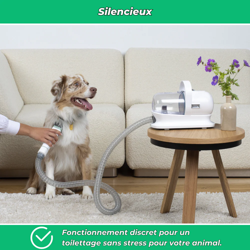 Aspirateur portable anti-poils – Élimine poils de chiens et chats sur tissus et meubles - Image 4