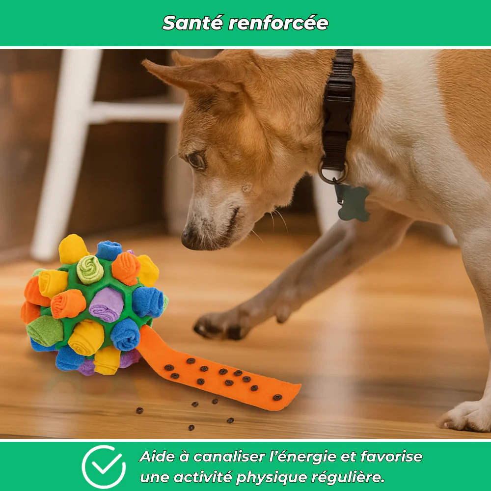 Balle distributrice de friandises pour chien – Jouet interactif et éducatif - Image 5