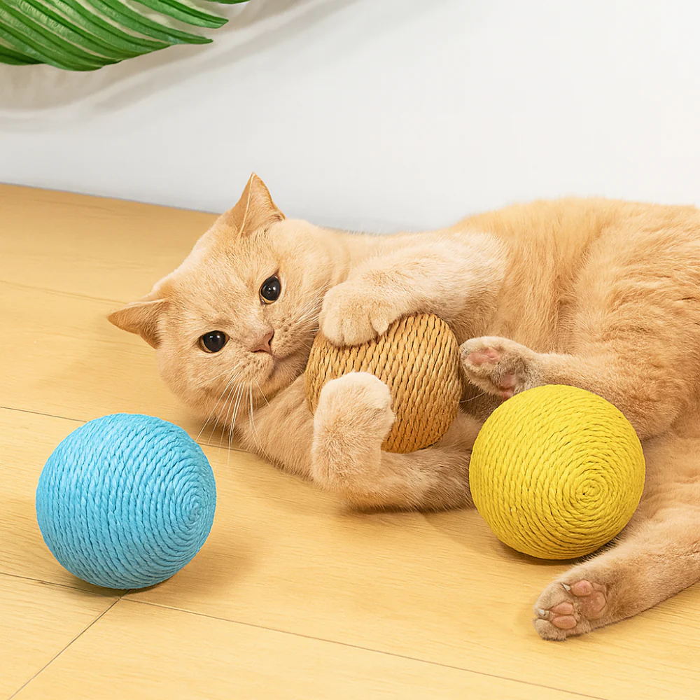 Balle interactive Ă gratter pour chat â Jouet anti-stress et stimulant
