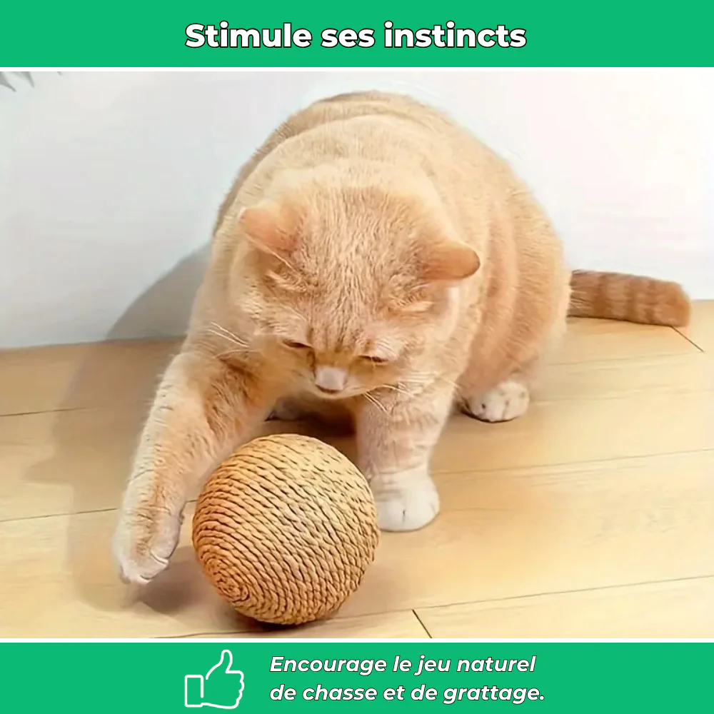 Balle interactive Ă gratter pour chat â Jouet anti-stress et stimulant - Image 3