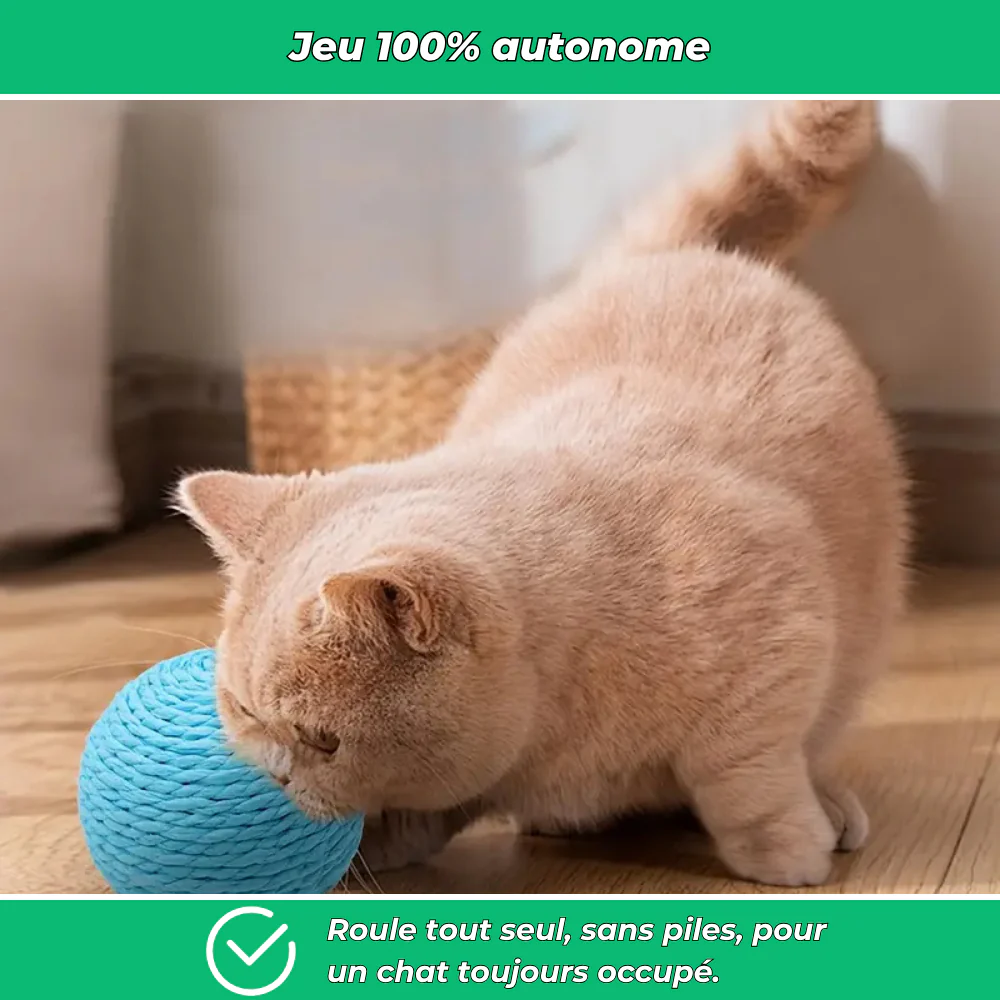 Balle interactive Ă gratter pour chat â Jouet anti-stress et stimulant - Image 4
