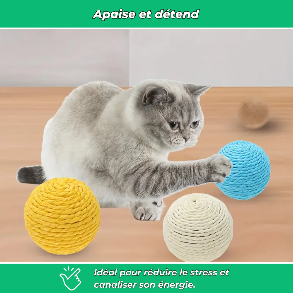 Balle interactive Ă gratter pour chat â Jouet anti-stress et stimulant - Image 5