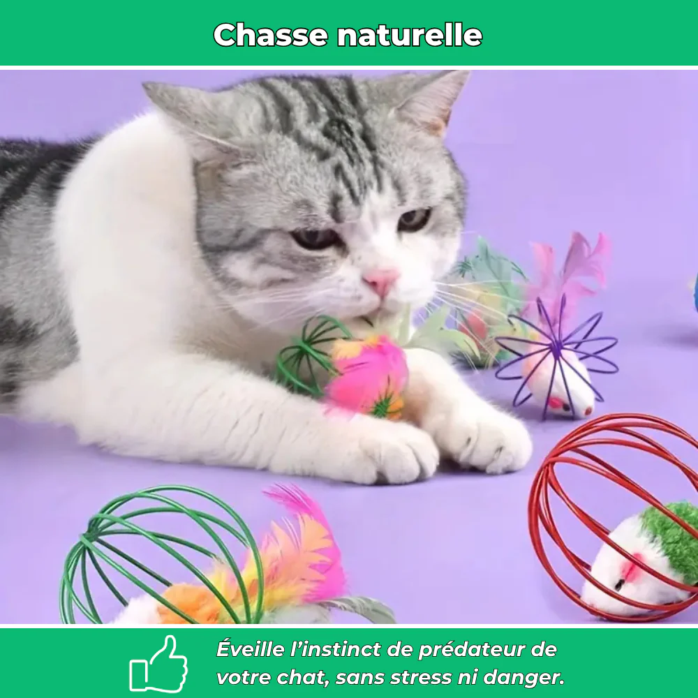 Balle cage interactive pour chat – Avec souris intégrée pour jeu stimulant - Image 3
