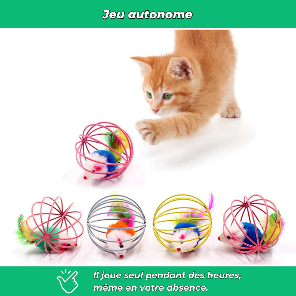 Balle cage interactive pour chat – Avec souris intégrée pour jeu stimulant - Image 5
