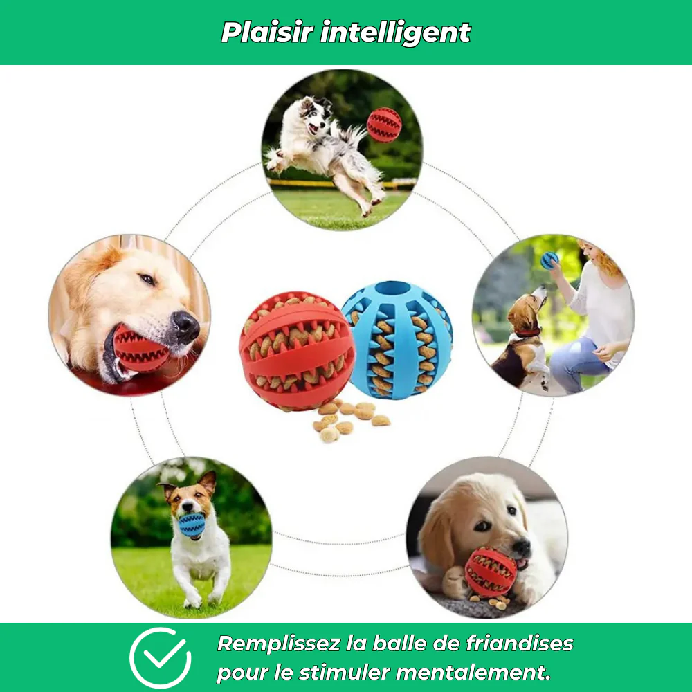 Balle en caoutchouc solide pour chien – Jouet à mâcher et nettoyage dentaire - Image 4