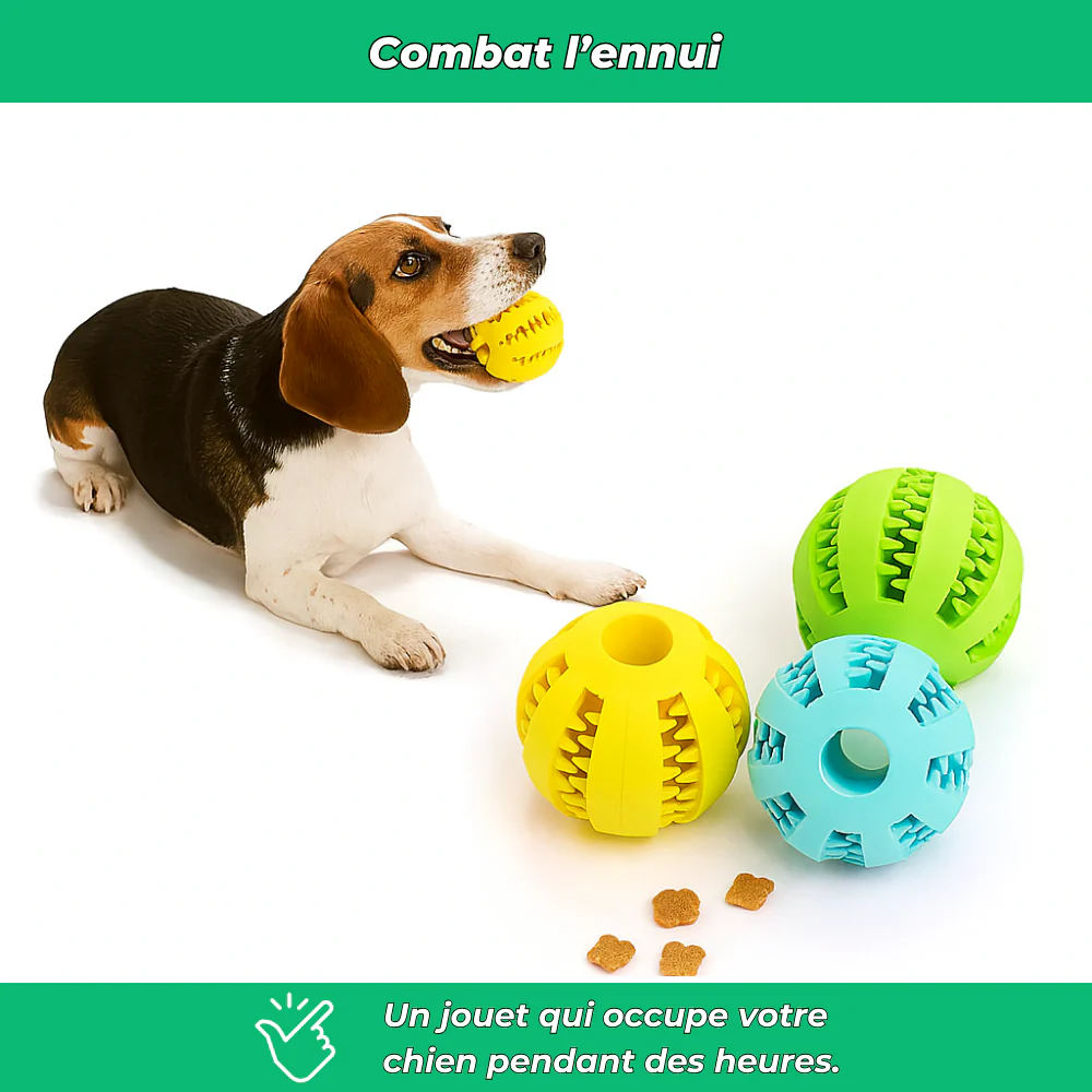 Balle en caoutchouc solide pour chien – Jouet à mâcher et nettoyage dentaire - Image 5