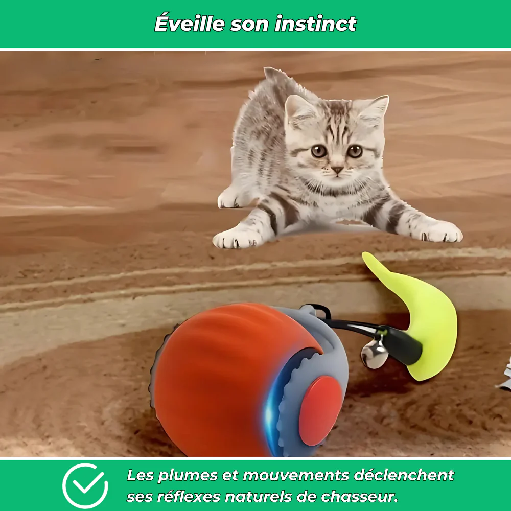 Balle interactive électrique rechargeable pour chat avec plumes et roulement automatique - Image 3