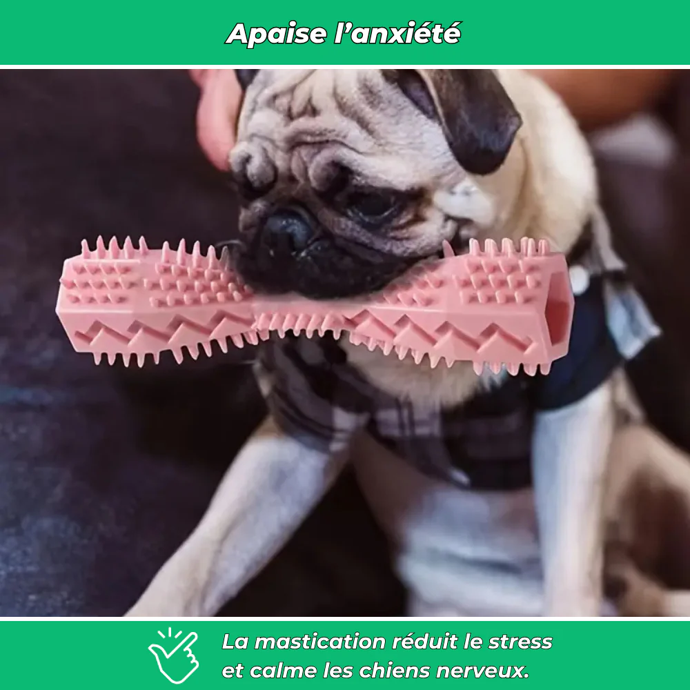 Bâtonnet dentaire en caoutchouc souple pour chiens – Jouet de mastication et nettoyage - Image 4