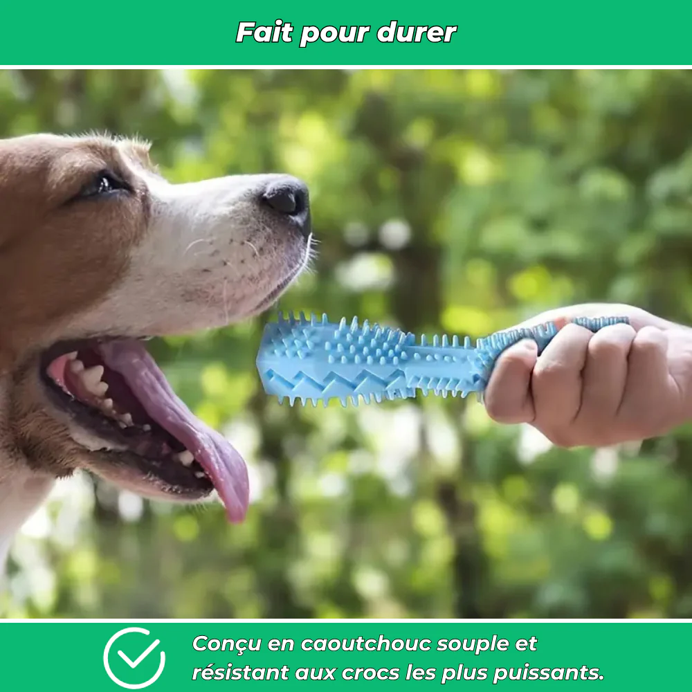 Bâtonnet dentaire en caoutchouc souple pour chiens – Jouet de mastication et nettoyage - Image 5