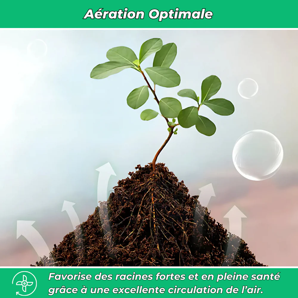 BioTerra Engrais Naturel Comprimé à Base de Coco et Neem – Fertilisation Écologique pour Plantes et Jardin - Image 3