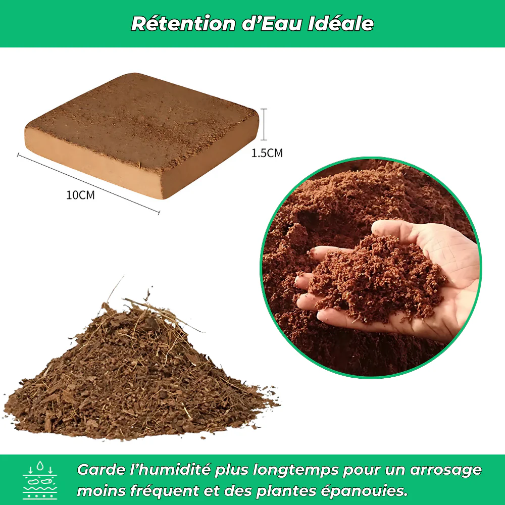 BioTerra Engrais Naturel Comprimé à Base de Coco et Neem – Fertilisation Écologique pour Plantes et Jardin - Image 4
