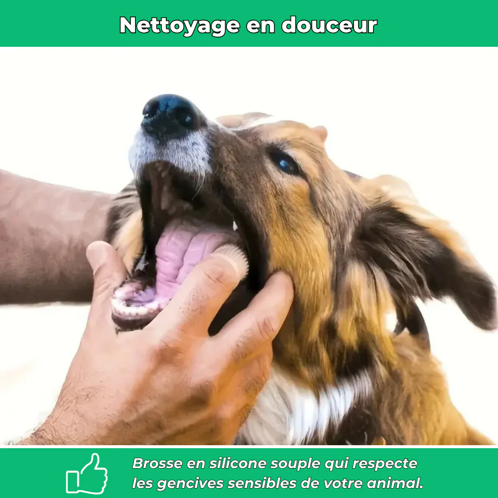 Brosse à dents en silicone pour chiens et chats – Hygiène dentaire et gencives saines - Image 3