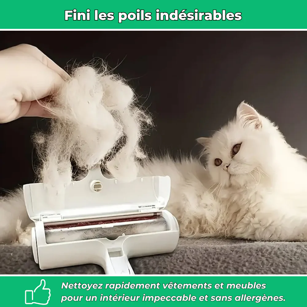 Brosse anti-poils réutilisable – Élimine poils de chiens et chats sur vêtements et meubles - Image 3