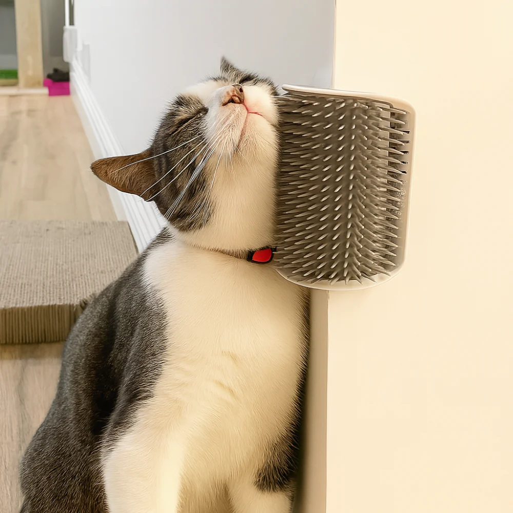 Brosse murale massante pour chat – Auto-toilettage et élimination des poils