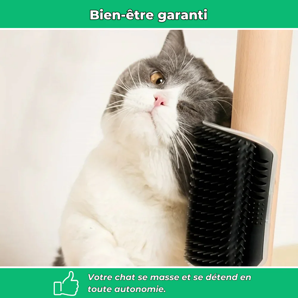 Brosse murale massante pour chat – Auto-toilettage et élimination des poils - Image 3