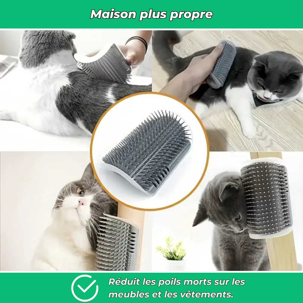 Brosse murale massante pour chat – Auto-toilettage et élimination des poils - Image 4