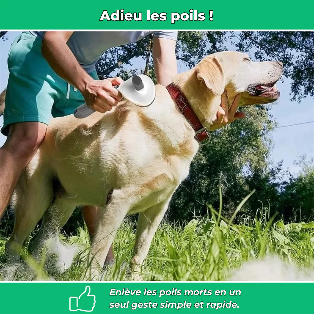 Brosse de toilettage pour chiens et chats – Anti-poils et facile à nettoyer - Image 3