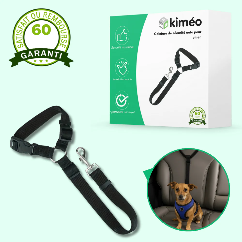 Ceinture de sécurité auto pour chien – Laisse ajustable robuste - Image 2