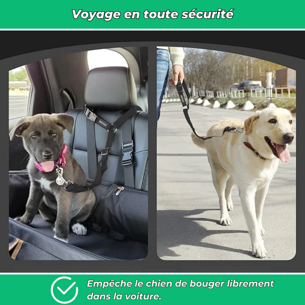 Ceinture de sécurité auto pour chien – Laisse ajustable robuste - Image 3