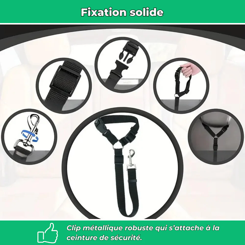 Ceinture de sécurité auto pour chien – Laisse ajustable robuste - Image 4