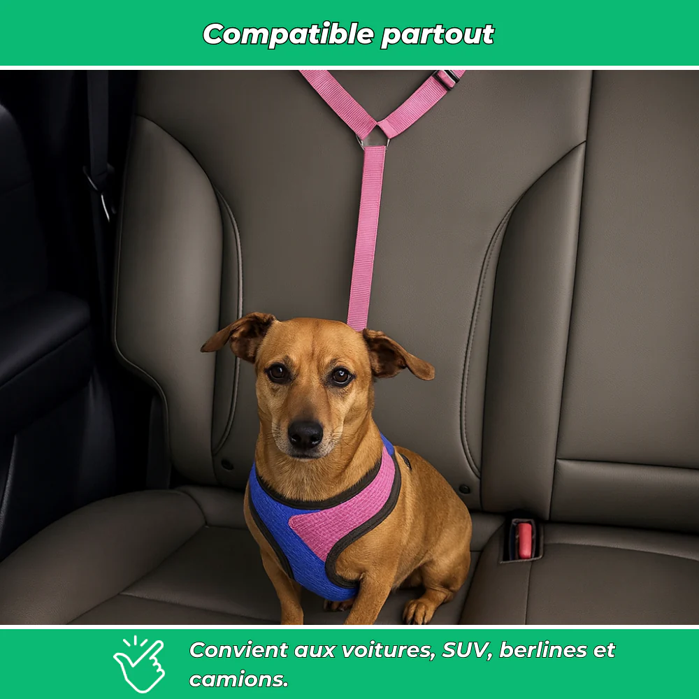 Ceinture de sécurité auto pour chien – Laisse ajustable robuste - Image 5