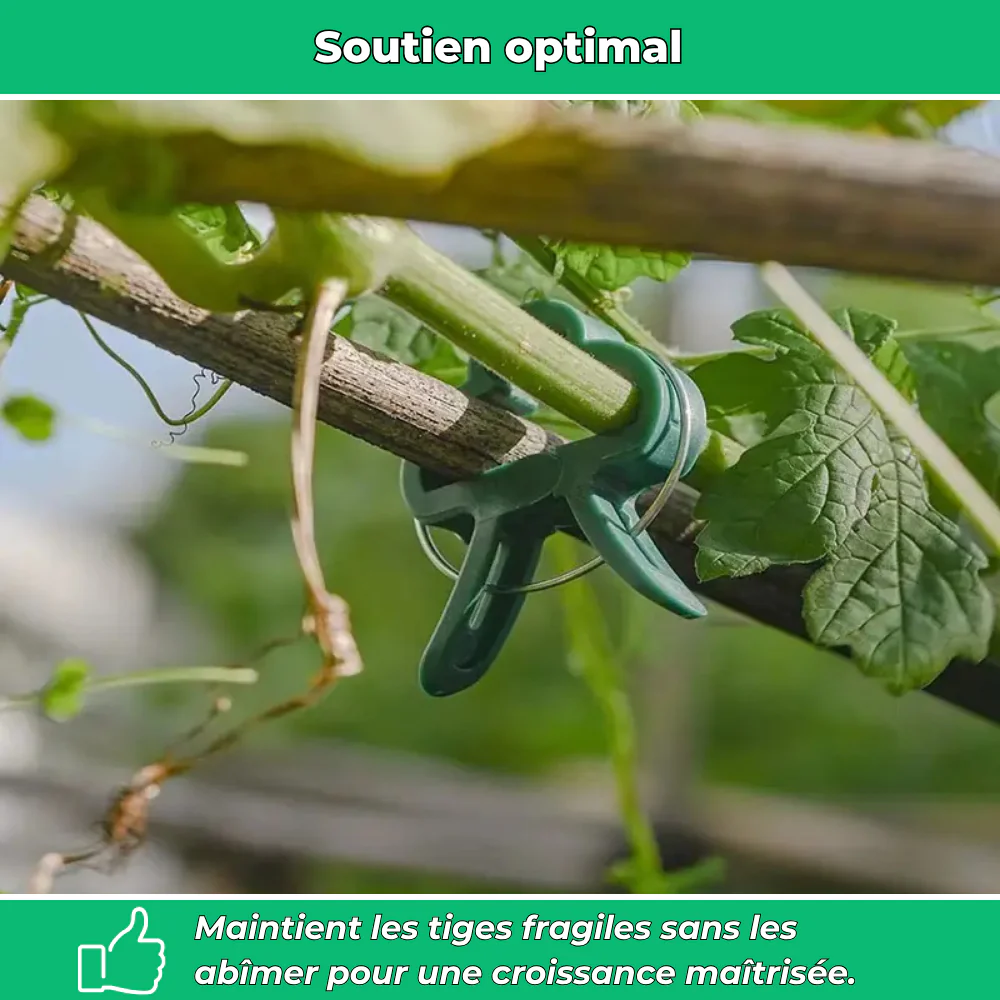 ClipâVert â 20 attaches de jardin rĂ©glables pour tuteur et serre - Image 3