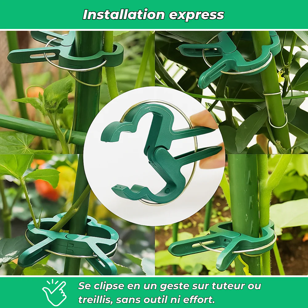 ClipâVert â 20 attaches de jardin rĂ©glables pour tuteur et serre - Image 4