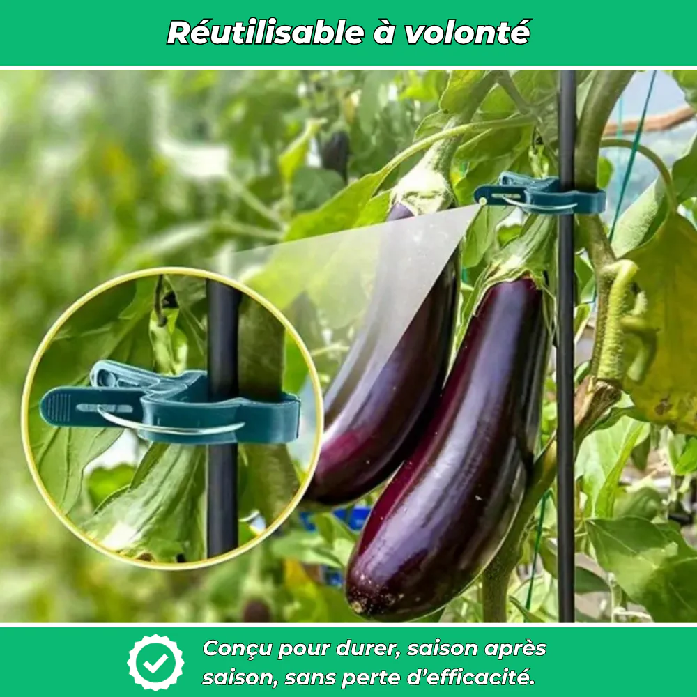ClipâVert â 20 attaches de jardin rĂ©glables pour tuteur et serre - Image 5