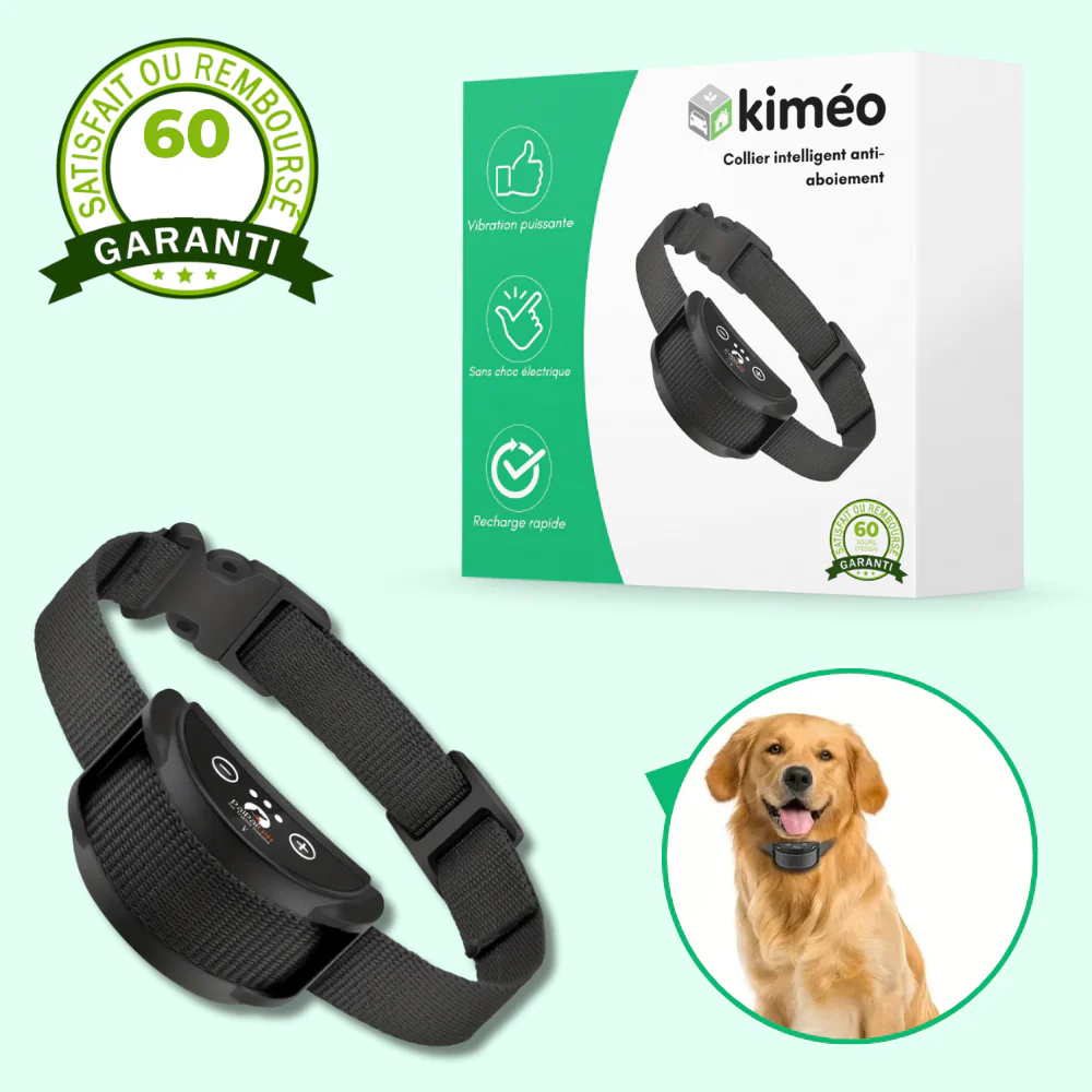 Collier anti-aboiement chien – Automatique, à vibration puissante, réglable et rechargeable USB, sans choc - Image 2