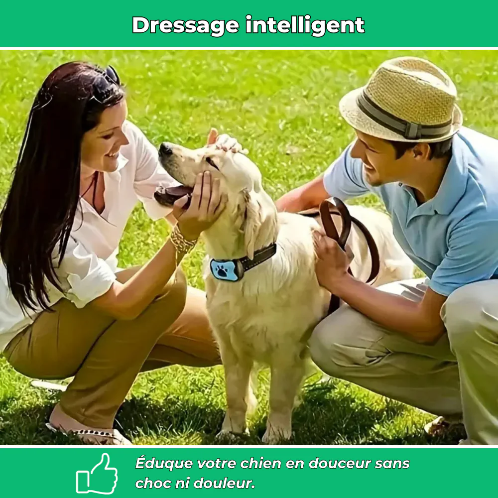Collier anti-aboiement chien – Intelligent, réglable et rechargeable USB, sans choc - Image 3