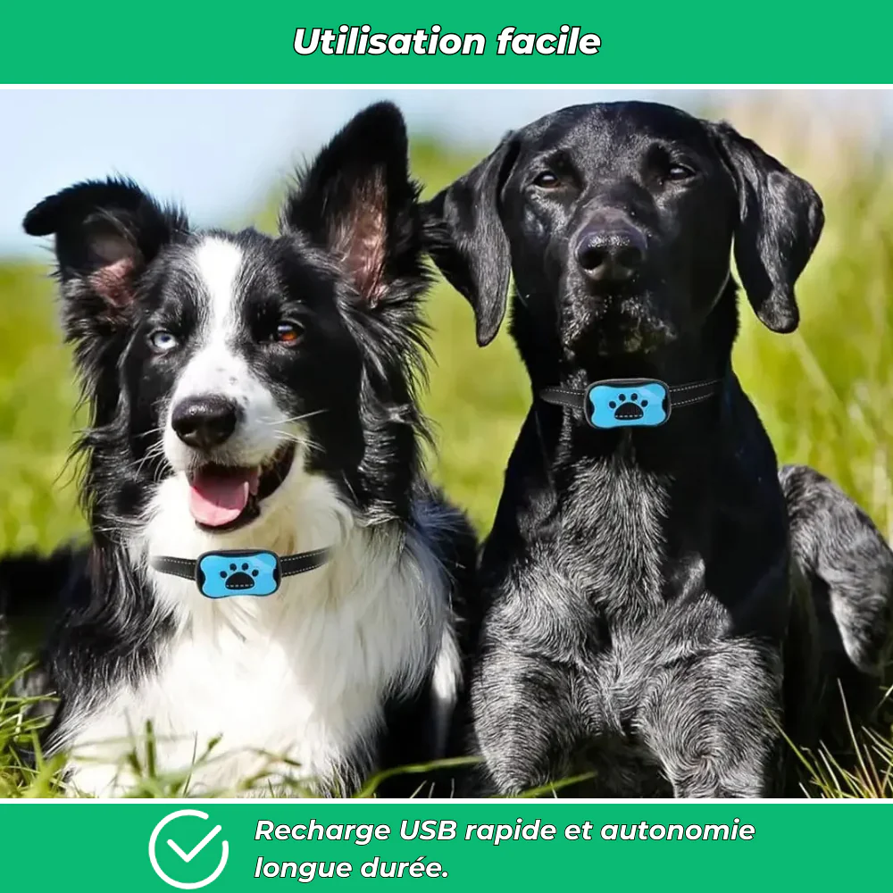 Collier anti-aboiement chien – Intelligent, réglable et rechargeable USB, sans choc - Image 4