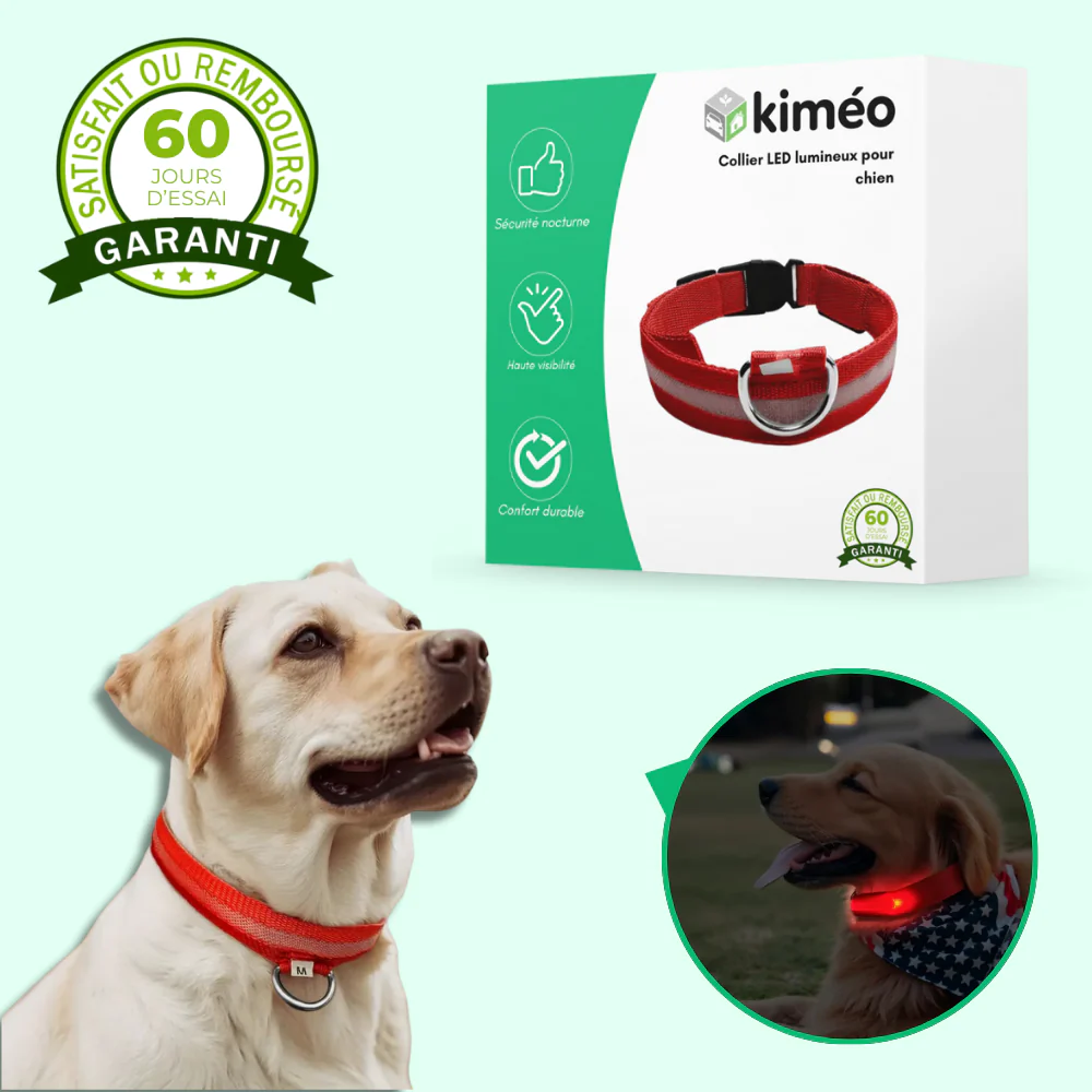 Collier lumineux LED pour chien – Sécurité de nuit et visibilité renforcée - Image 2