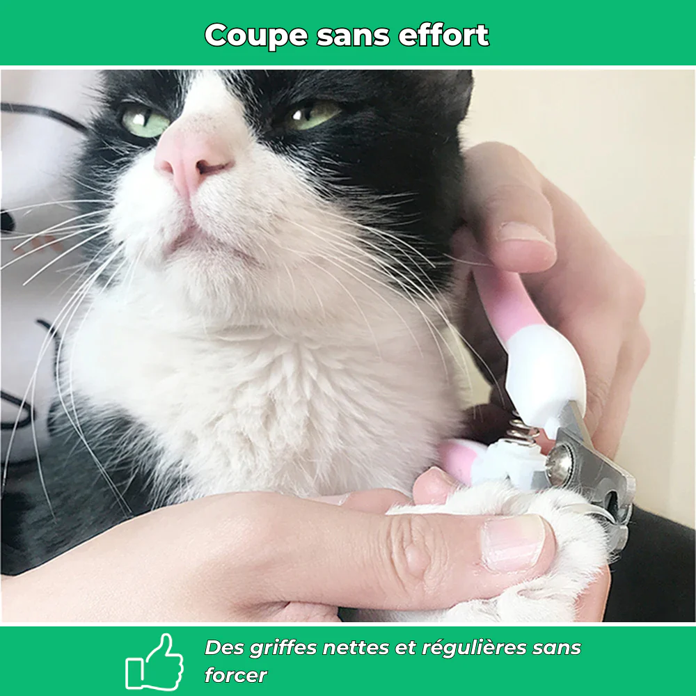 Coupe-griffes ergonomique pour chien et chat – Sécurité et confort de toilettage - Image 3