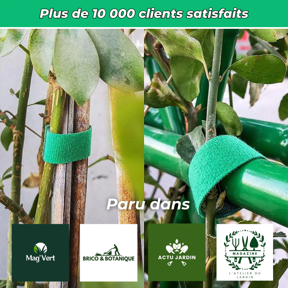 Fixations Ajustables pour Plantes – Soutien et Protection Optimale pour Croissance des Plantes - Image 6