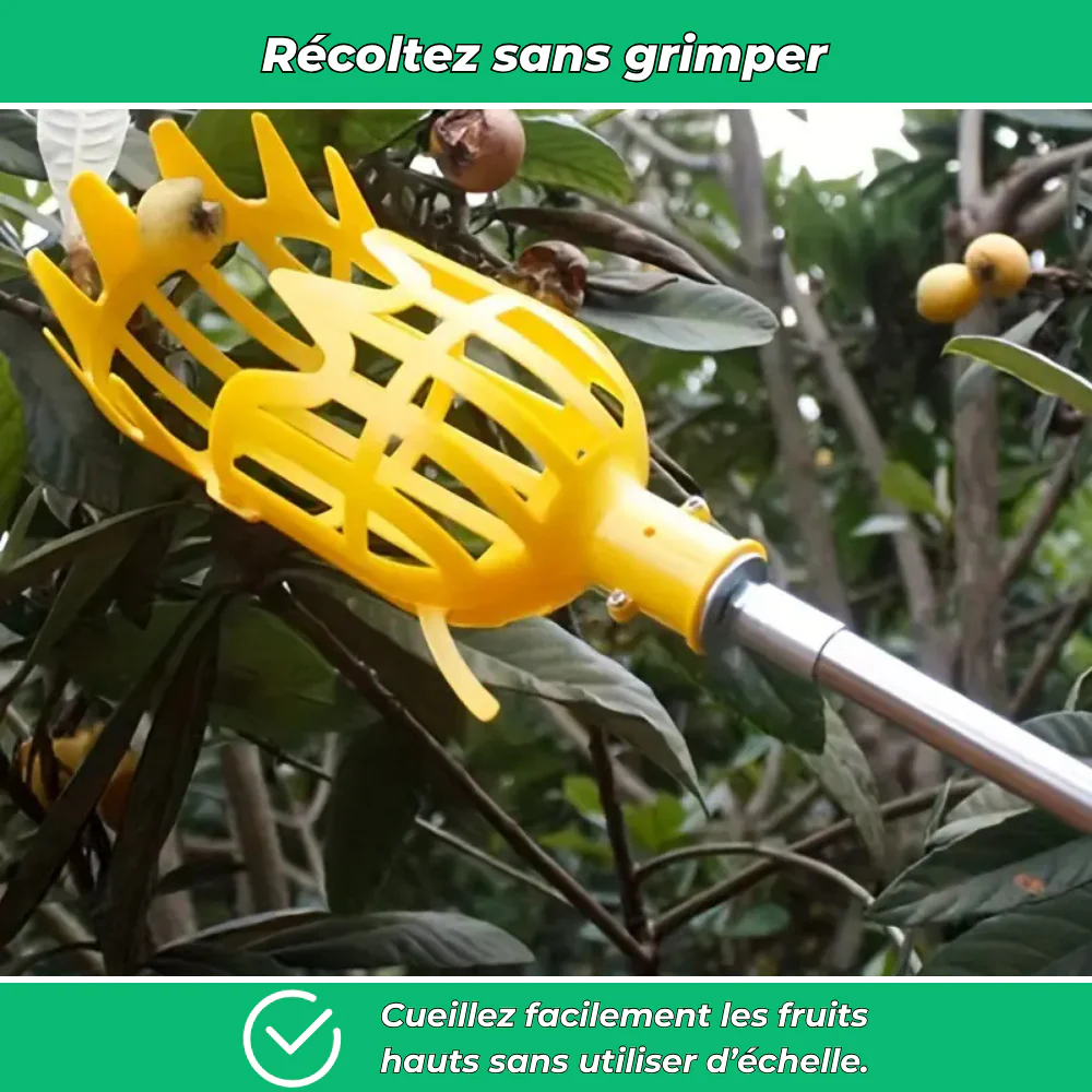 Fruito’Clip – Cueilleur de fruits manuel pour jardin sans échelle - Image 3