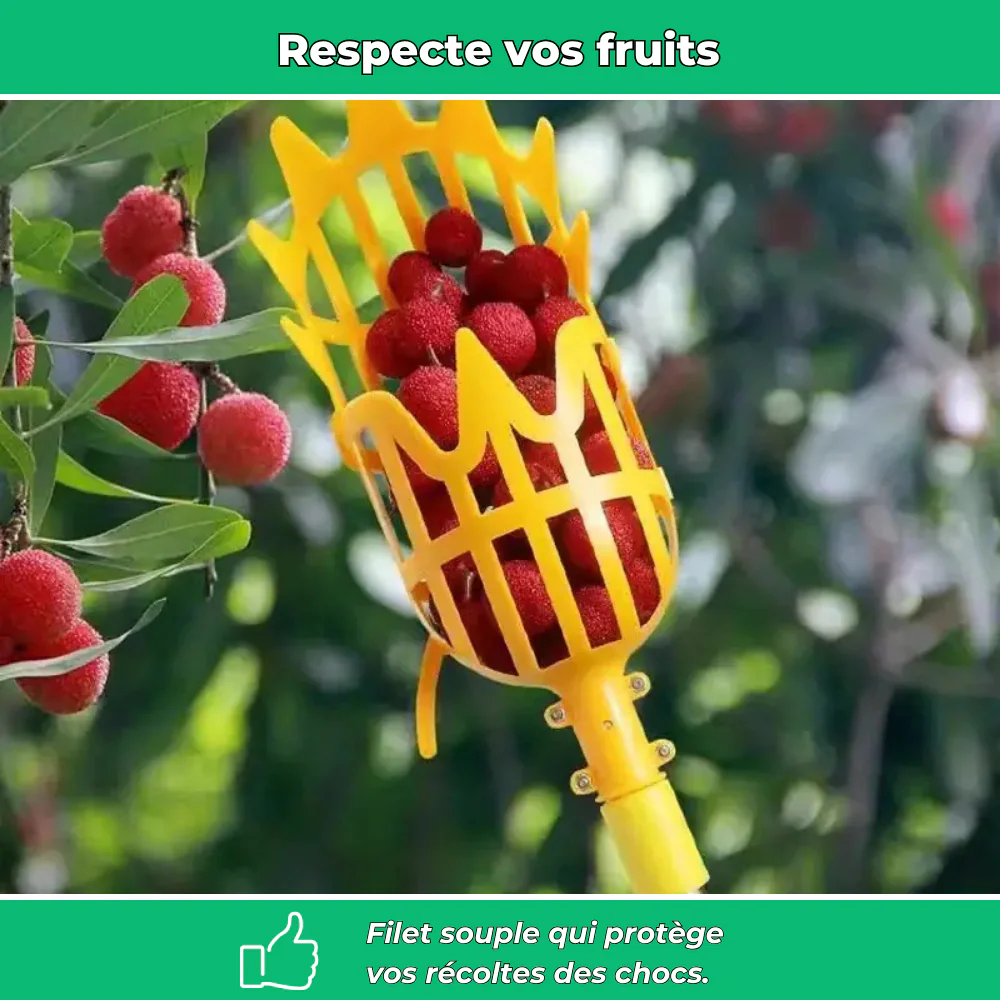 Fruito’Clip – Cueilleur de fruits manuel pour jardin sans échelle - Image 4