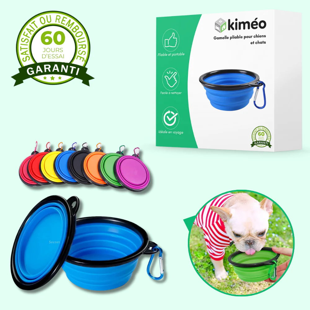 Gamelle pliable en silicone pour chien et chat – Voyage, camping et promenade - Image 2