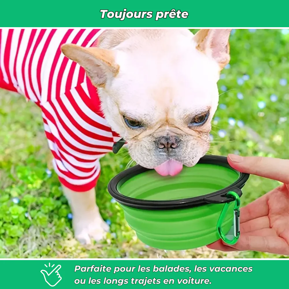 Gamelle pliable en silicone pour chien et chat – Voyage, camping et promenade - Image 5
