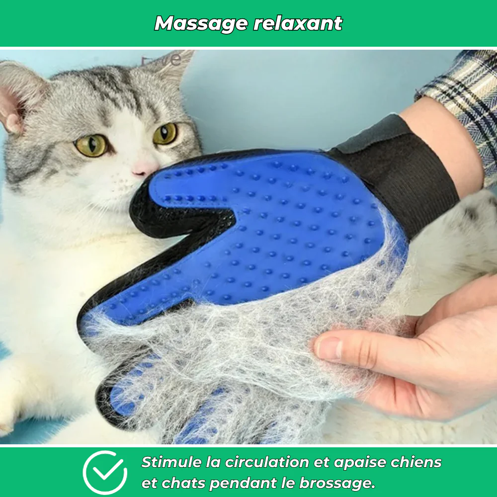 Gants de toilettage pour chiens et chats – Éliminent poils morts et massent la peau - Image 4